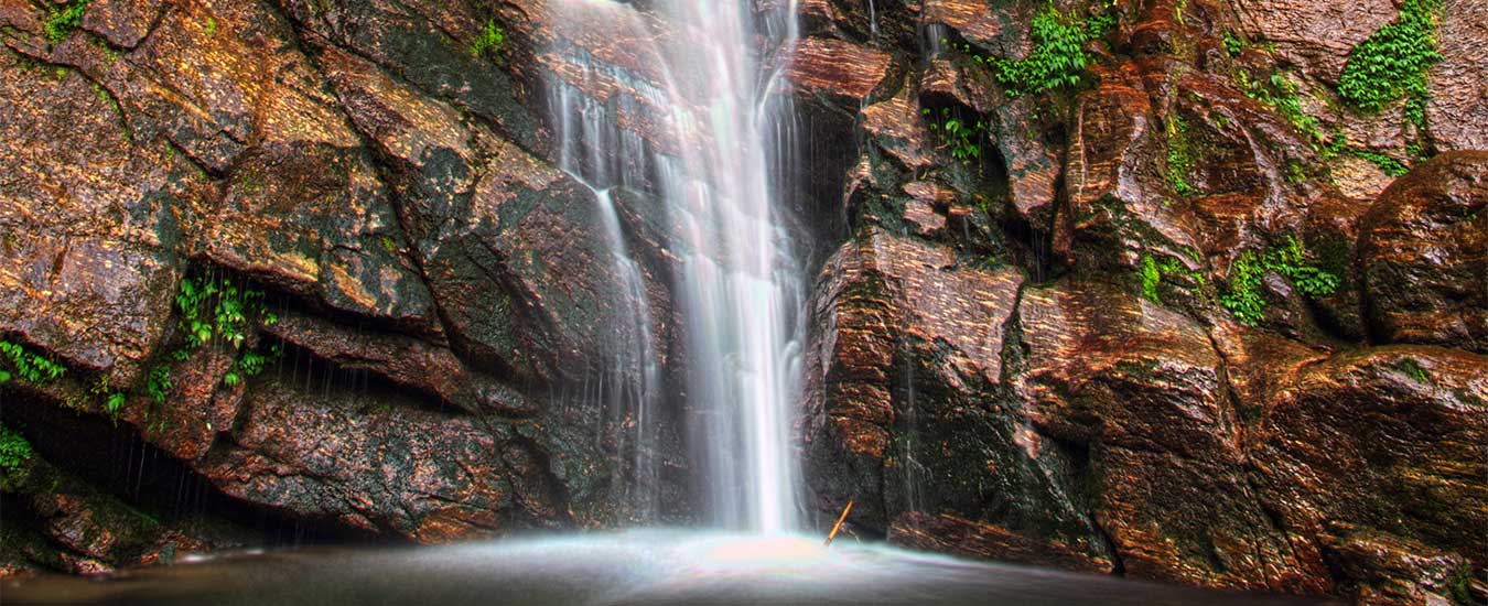 Kanchendzonga National Park